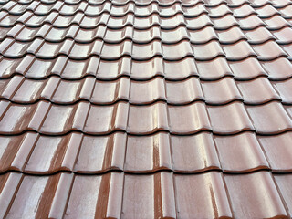 roof tiles on a roof
