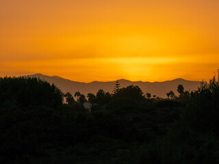 Trees and mountain from the coast at sunset