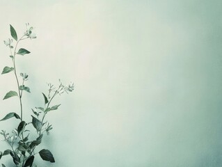 Delicate Branch with White Flowers Against a Soft Green Background