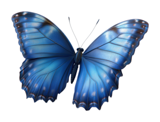 Blue butterfly icon displayed on graphic design digital high fidelity view nature concept isolated on transparent background png