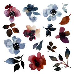 Watercolor flowers collection. It's perfect for cards, patterns, flowers compositions, frames, wedding cards and invitations. Hand painted.