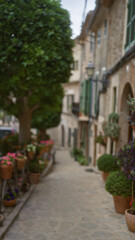 Fototapeta premium Defocused view of a charming stone street in mallorca, spain, lined with potted plants and traditional buildings under an overcast sky