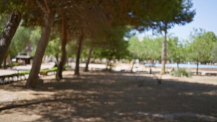 Blurred outdoor scene with defocused trees and a park background showcasing a sunny day with...