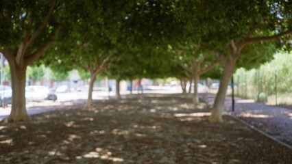 Blurred view of an outdoor park pathway with defocused trees and foliage under bright sunlight creating a bokeh effect