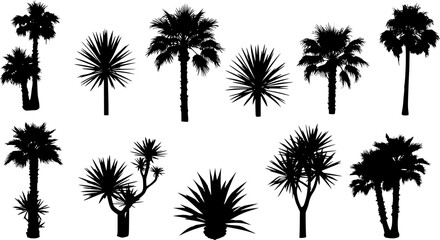 Vector set of Southern plants and trees. Silhouette vector set
