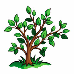 Deciduous Tree With Green Leaves vector illustration (3)