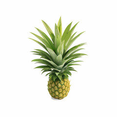 Fototapeta premium Fresh pineapple vector illustration (1)