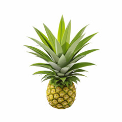 Fototapeta premium Fresh pineapple vector illustration (2)