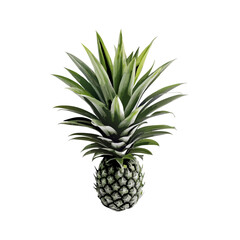 Fototapeta premium Fresh pineapple vector illustration (4)