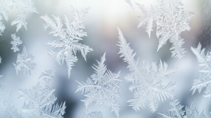 Obraz premium Stunning Ice Patterns on Frosted Glass - A Winter's Daytime Beauty