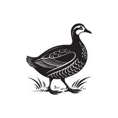 Duck black color silhouette Animal Illustration