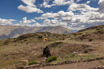 Landscapes of the Sacred Valley of the Incas, Cusco - Peru