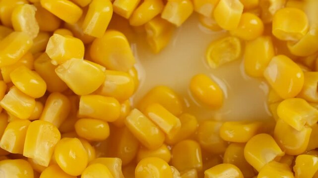Taking canned yellow corn with spoon, close up