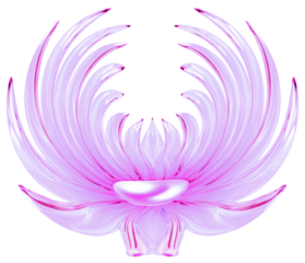 Abstract pink flower isolated on white background with clipping path. 