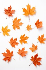 Fototapeta premium Fallen Beauty: Close-up of Many Autumn Maple Leaves Falling Down. Isolated on White Background as Decoration Element in Design