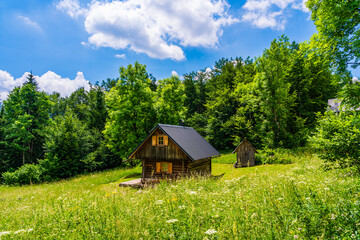 Small wooden hut in a meadow  in the forest; outdoors landscape in nature with trees in the forest at Vogar, Bohinj Lake ares, Julian Alps, Slovenia
