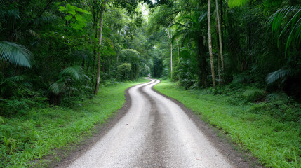 Fototapeta premium Winding trail through a lush exotic jungle surrounded by vibrant greenery and dense tropical plants