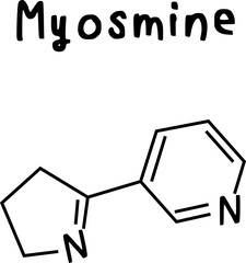 myosmine or chemical structure of myosmine isolate vector on transparency background