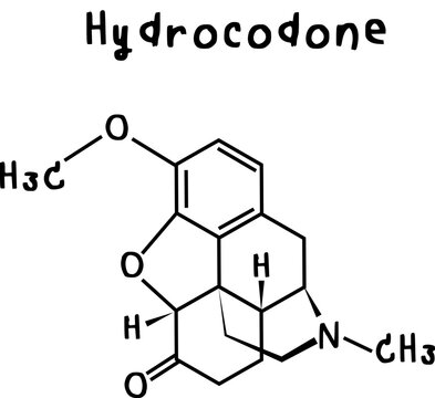 hydrocodone or chemical structure of hydrocodone isolate vector on transparency background