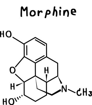 morphine or chemical structure of morphine isolate vector on transparency background