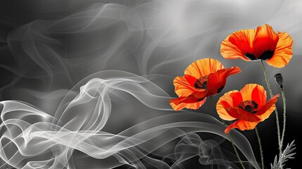 poppies 