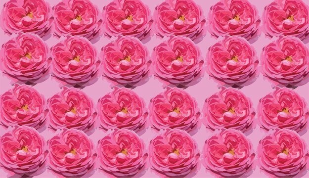 Abstract of damask rose background. Rosa damascena, Damascus rose or Persian, Bulgarian, Taif, Isfahan or Castilian rose, is a hybrid of Rosa gallica and Rosa moschata roses. Vector for design.
