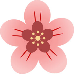 Illustration of Cherry Blossom Flower