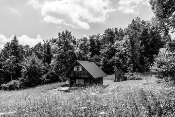 Small wooden hut in a meadow  in the forest; outdoors landscape in nature with trees in the forest...