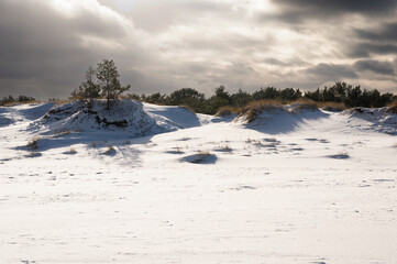 Zimowa plaża nad morzem Bałtyckim - Półwysep Helski © Sebastian