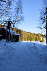 Snowy path near a wooden hut in the winter season