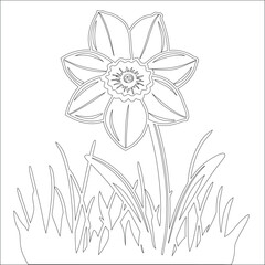 Simple outline drawing of a daffodil, perfect for coloring, crafting, and educational use