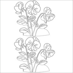 Simple outline drawing of a sweet-pea , perfect for coloring, crafting, and educational use