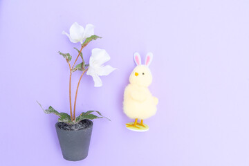Easter scene with funny chicken