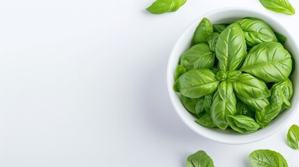 Fresh basil leaves on white, bowl of green basil, herbs close up, minimalist food photography, copy space background

