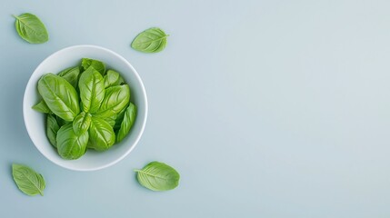 Obraz premium Fresh basil leaves on blue, bowl of green basil, herbs close up, minimalist food photography, copy space background