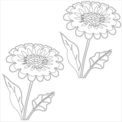 Simple outline drawing of a calendula, perfect for coloring, crafting, and educational use