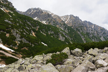 Tatry - szlak na Dolinę Pięciu Stawów, widok na szczyty © Sebastian