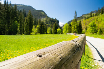 Dolna Kościeliska, Tatry polana na szlaku © Sebastian