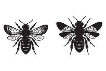 Set of bee its silhouette on white background