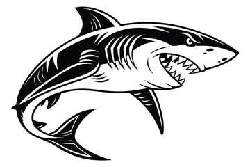 illustration of a shark 