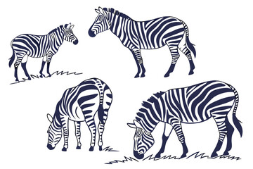 Naklejka premium A black color line art (Zebra)silhouette vector on white background