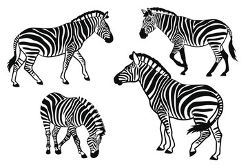 A black color line art (Zebra)silhouette vector on white background