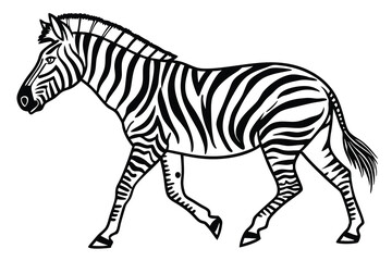 A black color line art (Zebra)silhouette vector on white background