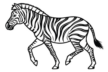 A black color line art (Zebra)silhouette vector on white background