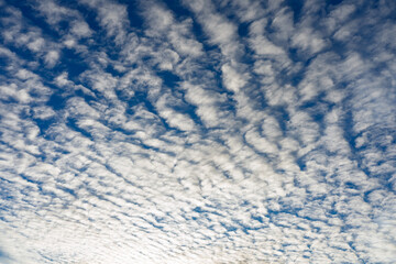 Cloudy sky with textured formations and vibrant blue background at dawn