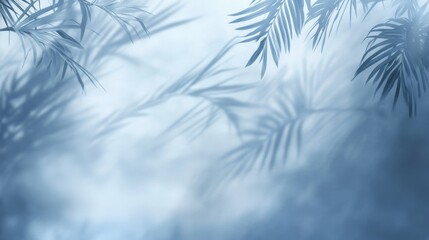 Soft blue shadows of palm leaves on a pastel background, creating a serene and minimalist tropical aesthetic
