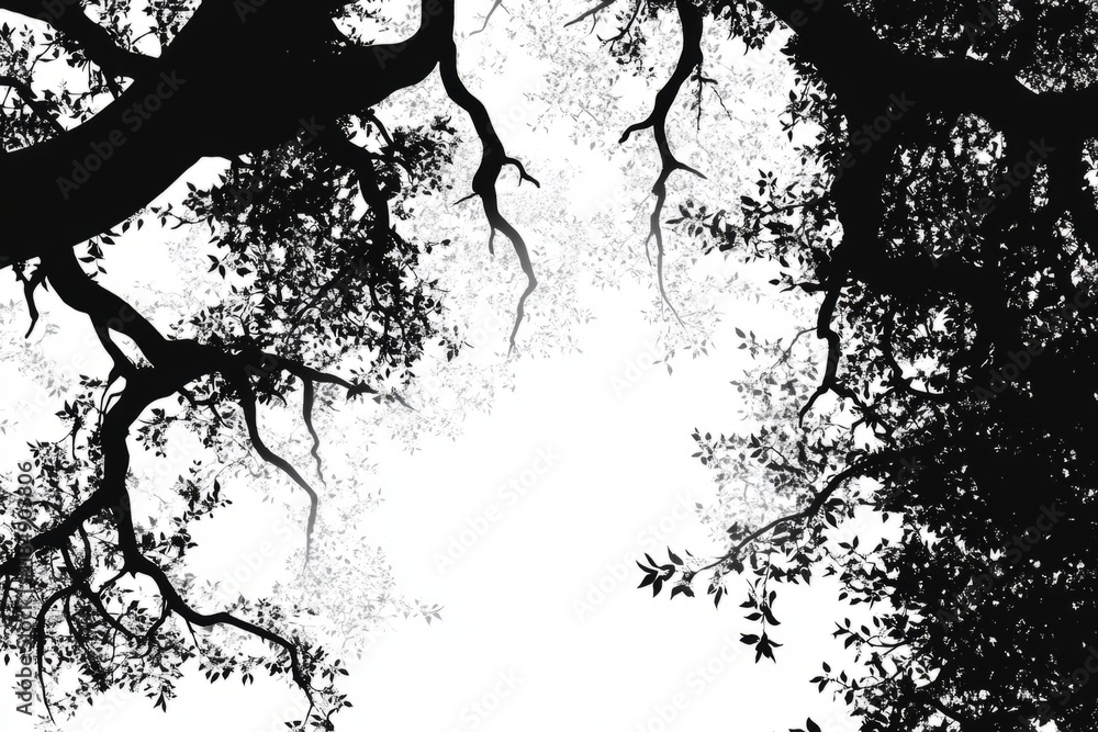 Poster silhouettes of tree branches with leaves create a captivating frame against a backdrop of bright whi