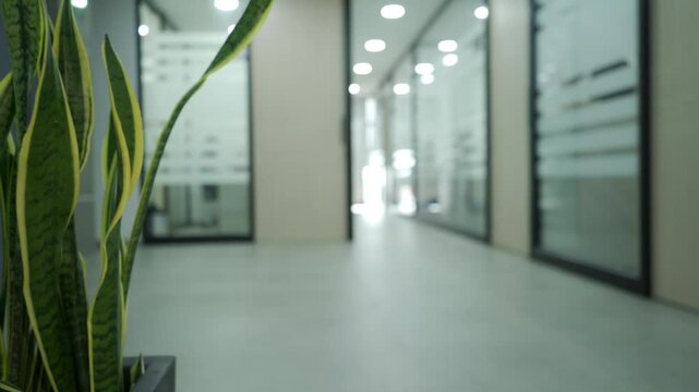 Empty office hallway