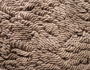 close up of monochrome beige or brown carpet texture background from above texture tight weave carpet the light color background of the carpet