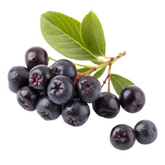 sweet aronia berries on transparent background